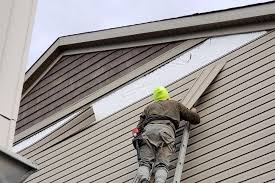 Professional Siding in La Selva Beach, CA